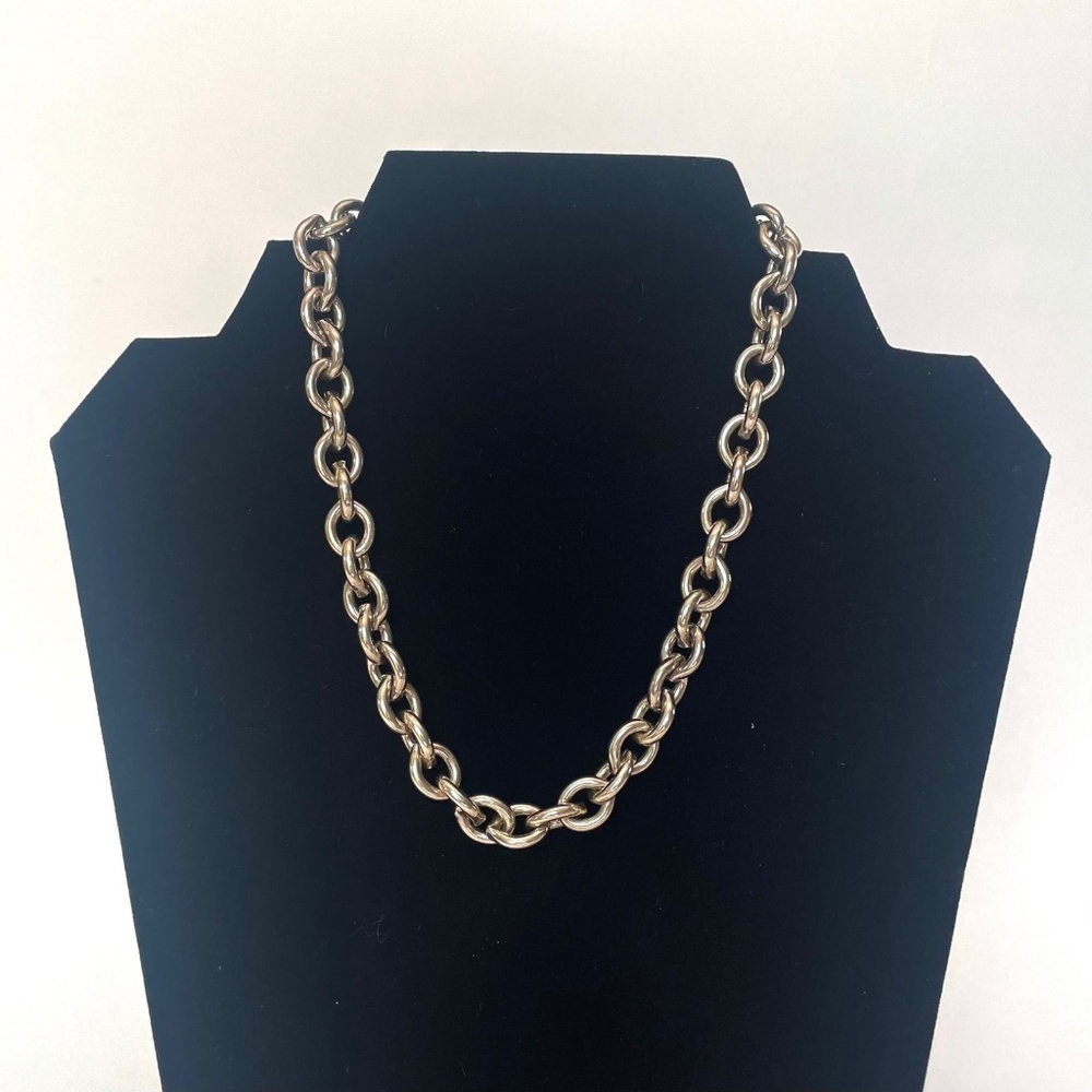 Carolee Contemporary Chic Thick Silver Link Chain Necklace